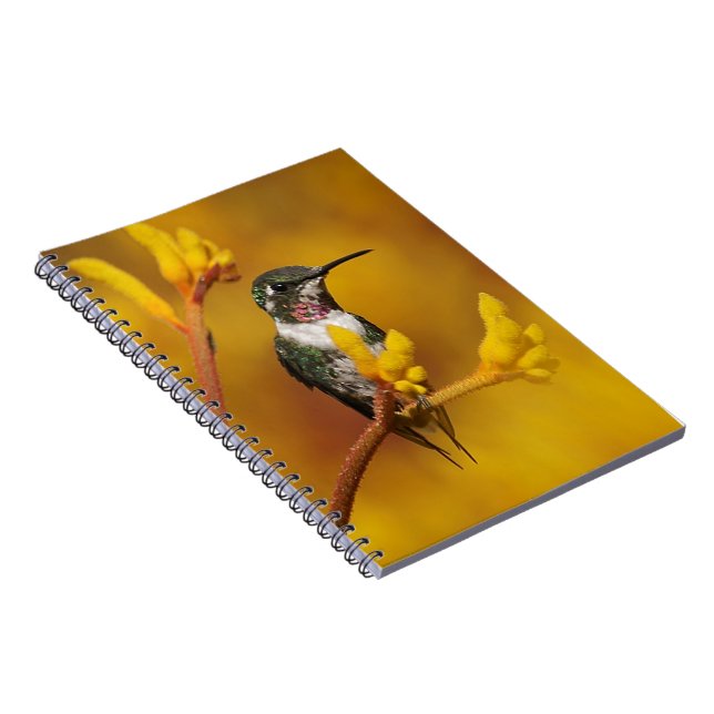 Golden Glow Notebook (Right Side)