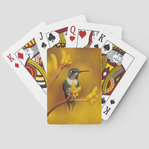 Golden Glow Poker Cards