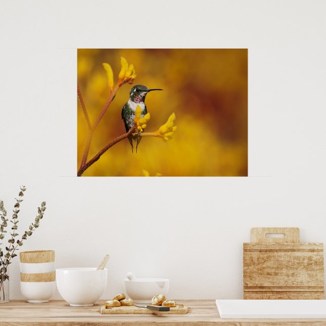 Golden Glow Poster (Kitchen)