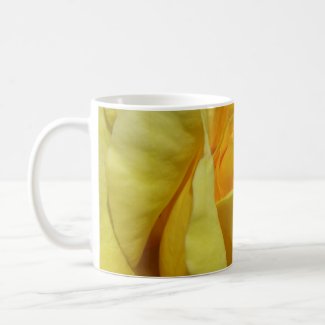 Golden Glow Rose mug