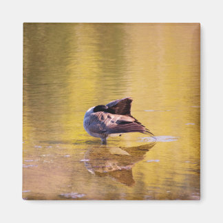 Golden Goose Magnet