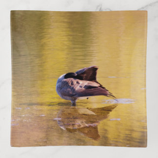 Golden Goose Trinket Tray