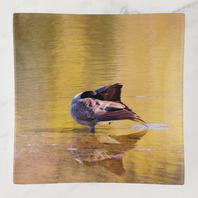 Golden Goose Trinket Tray (Front)