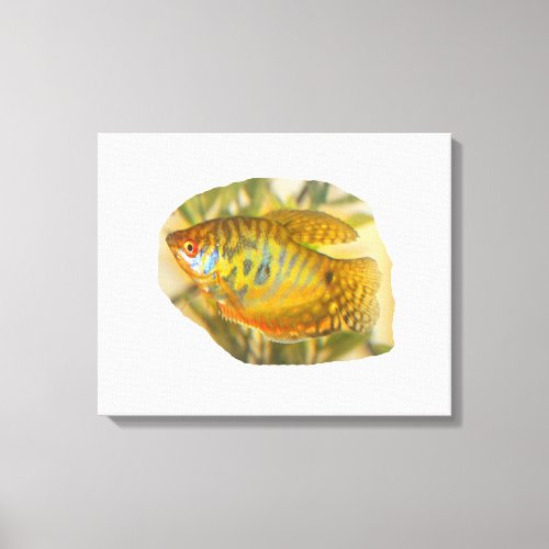 Golden Gourami Side View Saturated Aquarium Fish Canvas Print