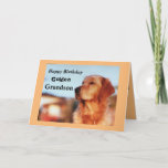 Golden Grandson Birthday Golden Retriever Card<br><div class="desc">Celebrate your grandson's birthday with an address card to delight golden retriever owners. The card features a beautiful golden in a classic champion pose. Designed in gold and black colors will be a great success,  keepsake for a golden retriever fan!</div>