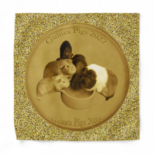 Golden Guinea Pig 2022 Coin, Bandana
