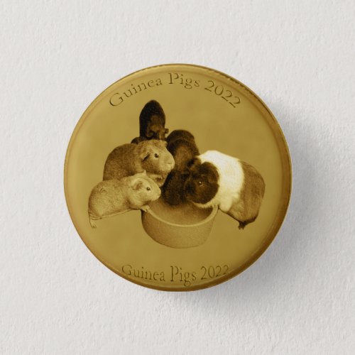 Golden Guinea Pig 2022 Coin Hat Badge Button