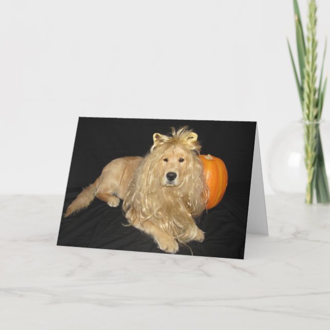 Golden Halloween Lion Blank Card (Front)