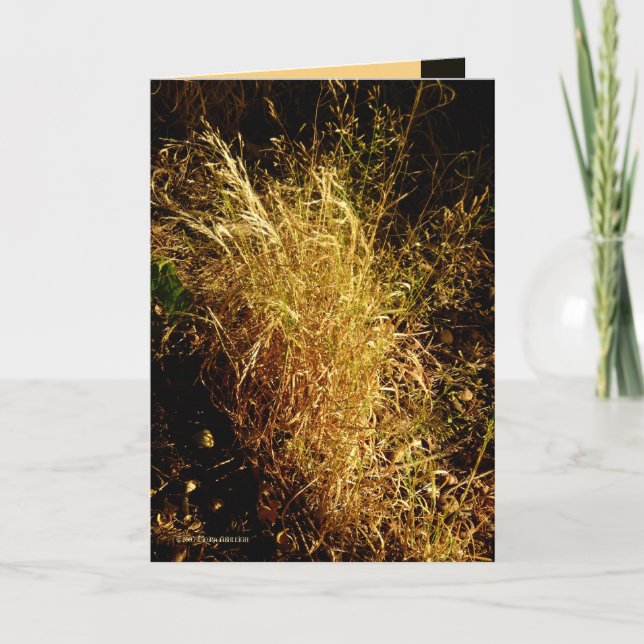 Golden Harvest Card (Front)