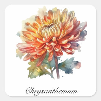 Golden Harvest Chrysanthemum, custom Square Sticker