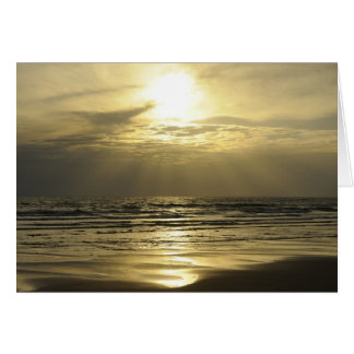 Golden Haze Cards