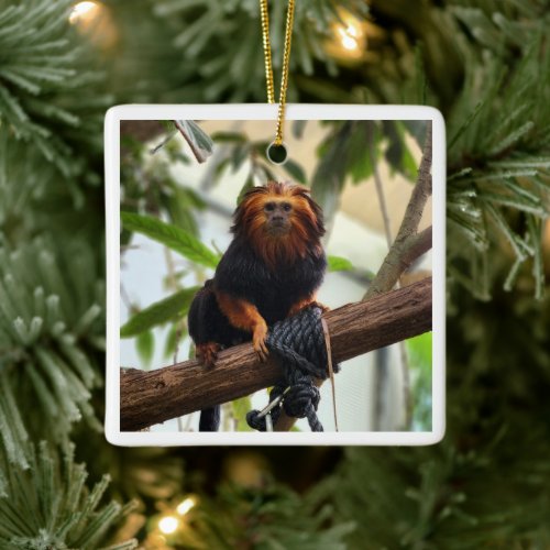 Golden Headed Lion Tamarin III Ceramic Ornament