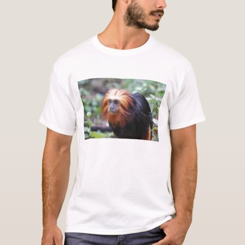 Golden Headed Lion Tamarin Monkey T_Shirt