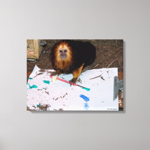 Golden_Headed Lion Tamarin Painting Canvas Print