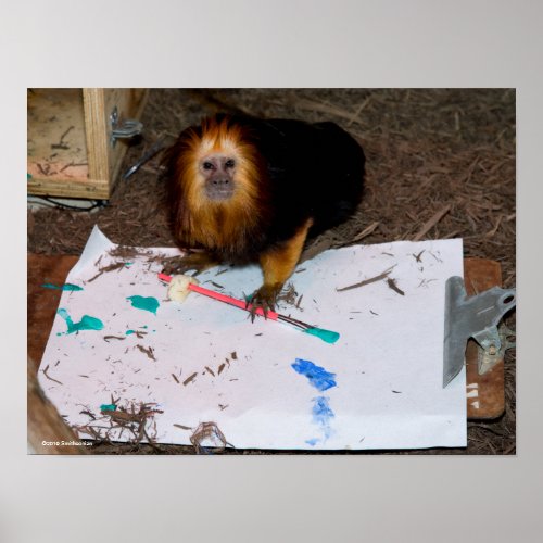 Golden_Headed Lion Tamarin Painting Poster