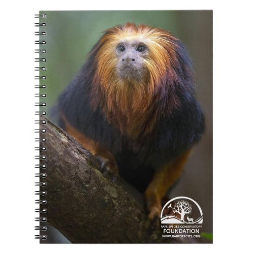 Golden Headed Lion Tamarins Notebook