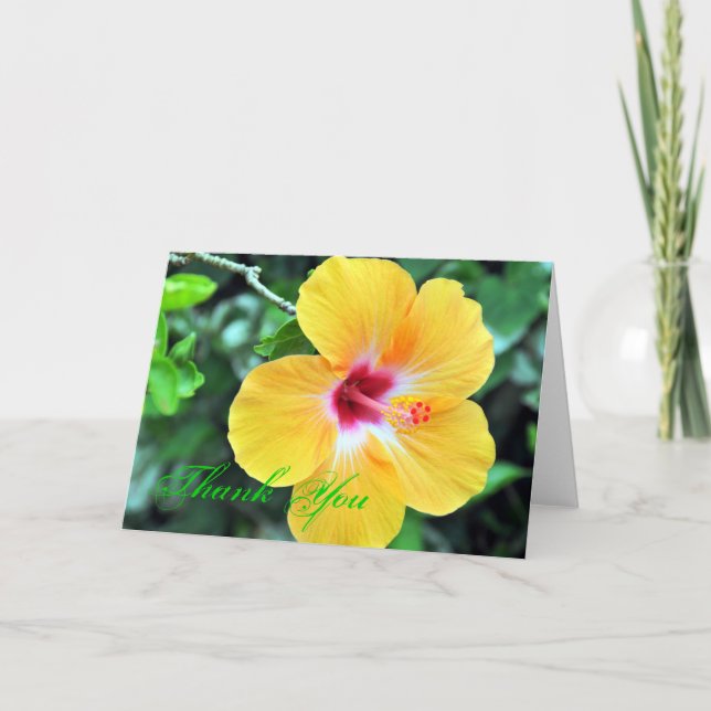 Golden Hibiscus Thank You Card (Front)