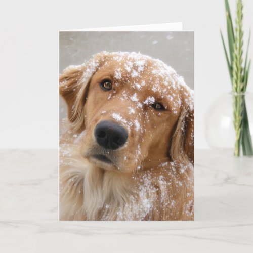 Golden Holidays and a Dog_gone happy New Year Holiday Card