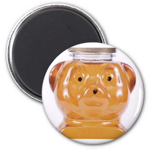 Golden Honey Bear Face View Magnet