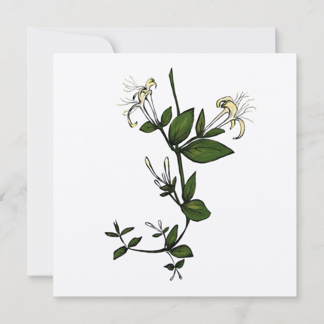 Golden Honeysuckle Greeting Card (Front)