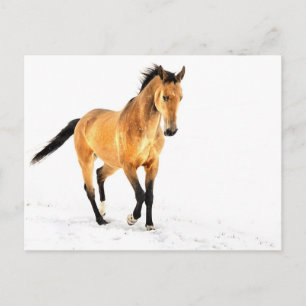 Golden horse in snow postcard