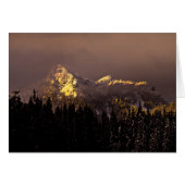 Golden Hour (Front Horizontal)