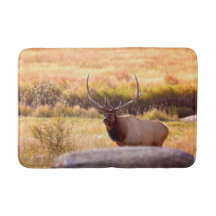 Golden Hour Bull Elk
