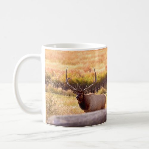 Golden Hour Bull Elk Coffee Mug