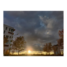 Golden Hour in the Neighborhood