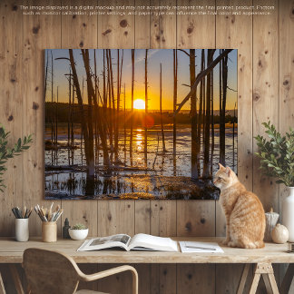 Golden Hour in Yellowstone Canvas Print
