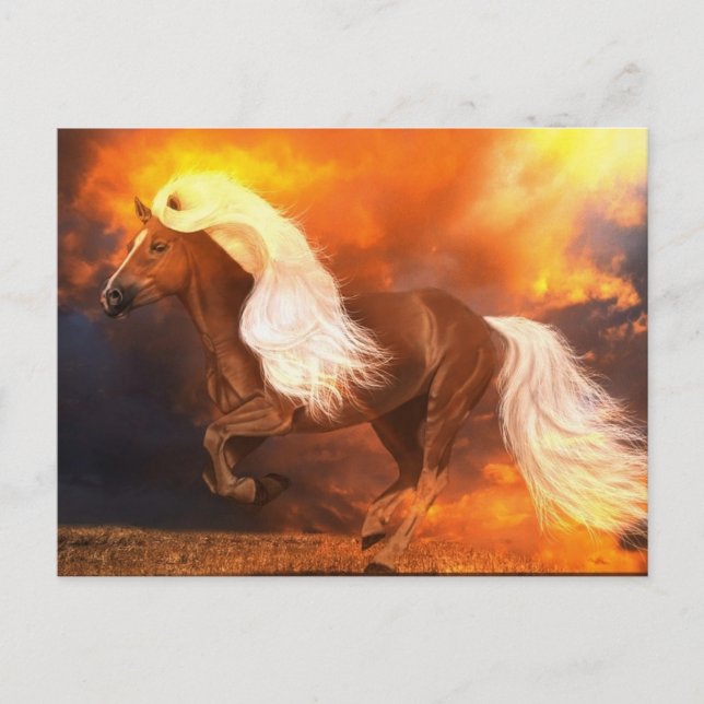 Golden Hour Postcard (Front)