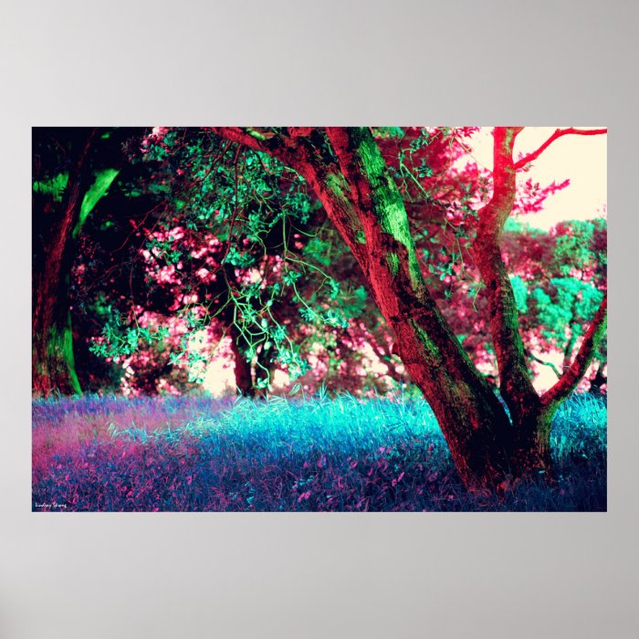 Golden Hour Poster   Size X Large (38" x 25")