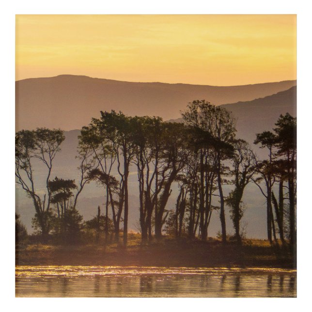 Golden Hour Reflections with Silhouetted Trees Acrylic Print (Front)