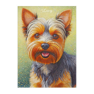 Golden Hued Yorkshire Terrier Radiant Dog Portrait Acrylic Print