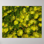Golden Ice Flowers Yellow Floral Poster