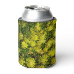 Golden Ice Plant Yellow Flowers Can Cooler