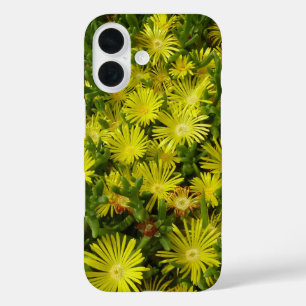 Golden Ice Plant Yellow Flowers iPhone 16 Case