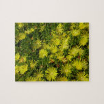 Golden Ice Plant Yellow Flowers Jigsaw Puzzle