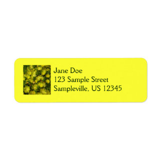 Golden Ice Plant Yellow Flowers Label