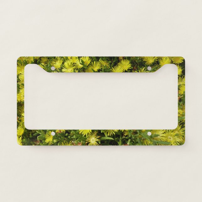 Golden Ice Plant Yellow Flowers License Plate Frame (Front)