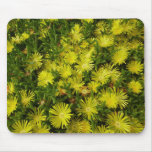 Golden Ice Plant Yellow Flowers Mouse Pad