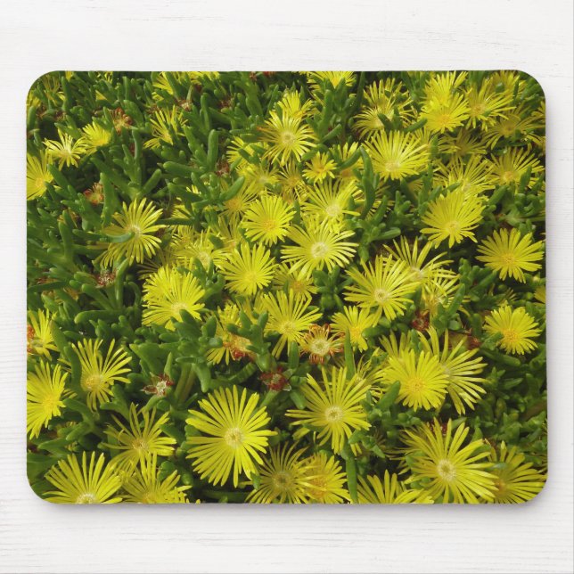 Golden Ice Plant Yellow Flowers Mouse Pad (Front)