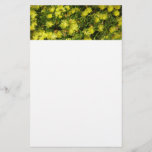 Golden Ice Plant Yellow Flowers Stationery