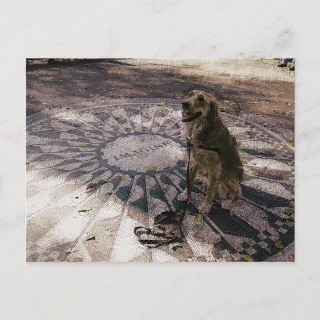 Golden in Strawberry Fields aka "Imagine" Postcard (Front)