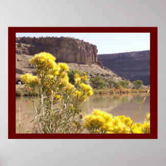 Golden in the sun poster