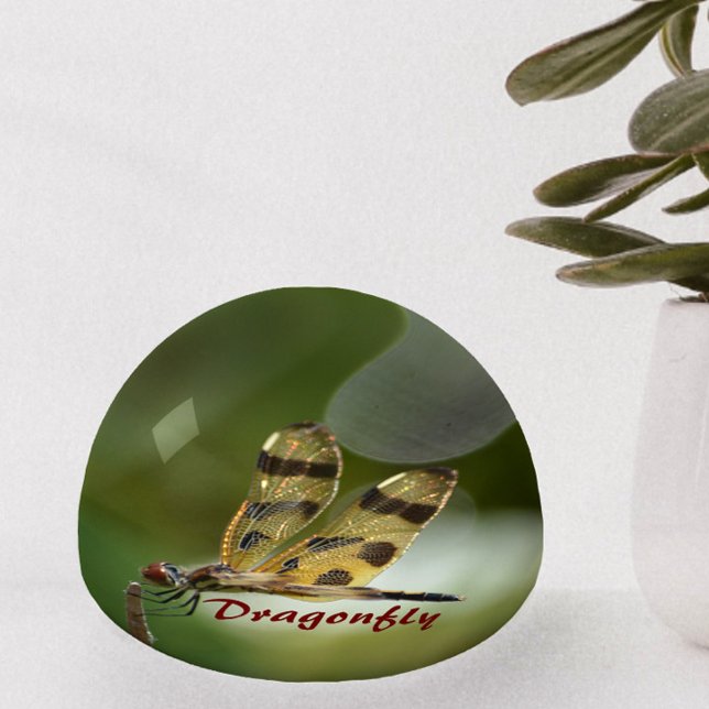 Golden Iridescent Dragonfly Green Customizable Paperweight (Creator Uploaded)