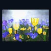 Golden Jubilee Photo Print