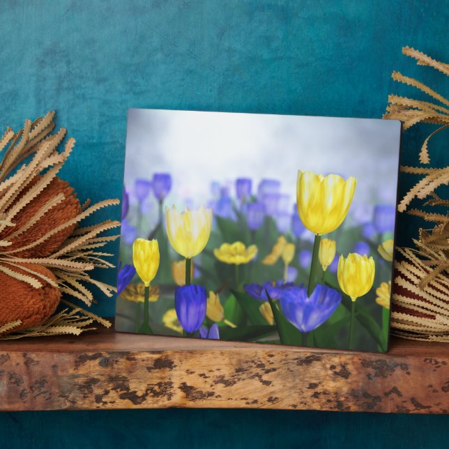 Golden Jubilee Plaque (Side)