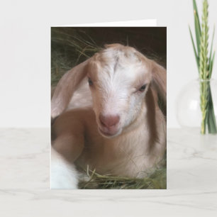 Golden kid greeting card