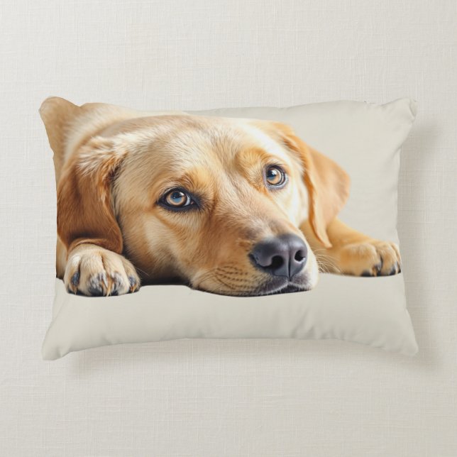 Golden Lab Pillow  (Front)